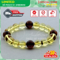 Vòng Tay Hổ Phách Amber Úc  Vòng tay cho người lớn M2MDV8X8