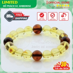 Vòng Tay Hổ Phách Amber Úc  Vòng tay cho người lớn M2MDV8X8