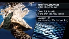 Smart Tivi QLED 4K 65 inch Samsung QA65Q80BAKXXV