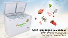 Tủ đông Kangaroo 228 lít KG 298C2