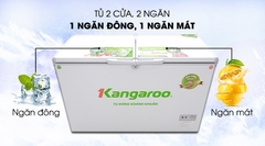 Tủ đông kháng khuẩn Kangaroo KG398C2