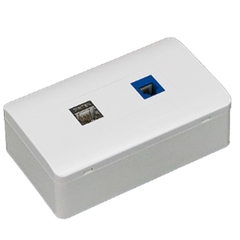 Mặt nạ 2 port Dintek Wallplate (1303-11031)