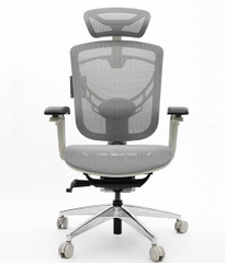 Ghế Công thái học GTChair Ivino Gen II Full xám