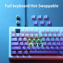 Darmoshark Top98 RGB Wired Gaming Keyboard