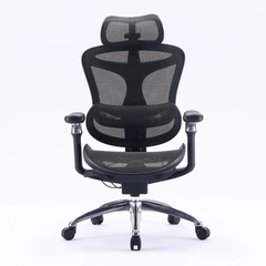 Ghế Công Thái Học Sihoo A3 (Sihoo Doro C300)