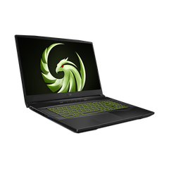 Laptop MSI Gaming Alpha 15 B5EEK-203VN (15.6