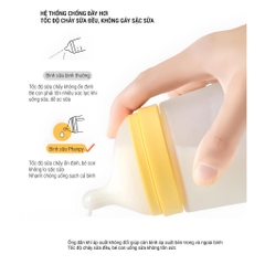 PHANPY | Bình Sữa Thủy Tinh Chống Đầy Hơi Bọc Silicone Dung Tích 160ml - 240ml