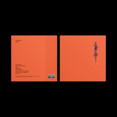 Cái Đầu Tiên - 2025 repack ver.