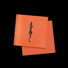 Cái Đầu Tiên - 2025 repack ver.