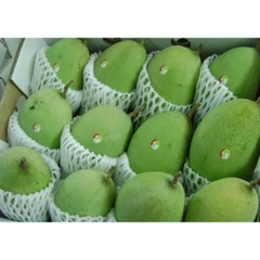 Vietnam Fresh Mango