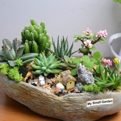 Nhãn in Dymo (D1) nhựa Polyester dùng cho máy LabelManager