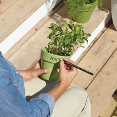 Bút chì sáp dầu dạng xé Sharpie Peel-Off China Marker