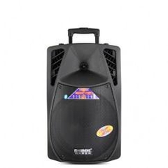 Loa Kéo Temeisheng SL13 Loa Kéo Temeisheng SL13