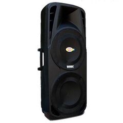 Loa kéo 2 bass đôi Temeisheng A86 Loa kéo 2 bass đôi Temeisheng A86