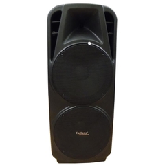 Loa kéo di động 2 bass đôi Caliana TC215F Loa kéo di động 2 bass đôi Caliana TC215F
