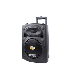 Loa kéo Temeisheng DP107 Loa kéo Temeisheng DP107