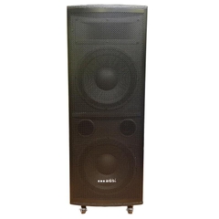 Loa kéo di động 2 bass công suất lớn Ads TAY 212H Loa kéo di động 2 bass công suất lớn Ads TAY 212H