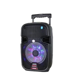 Loa Kéo Temeisheng SL07 Loa Kéo Temeisheng SL07