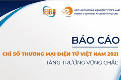 Báo cáo Chỉ số Thương mại điện tử Việt Nam 2021