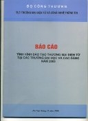 Báo cáo đào tạo Thương mại điện tử năm 2008