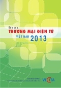 Báo cáo Thương mại điện tử Việt Nam năm 2013