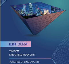 Vietnam E-Commerce Business Index Report _ EBI 2024