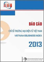 Vietnam E-Business Index 2013 Report