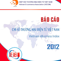 Vietnam E-Business Index 2012 Report