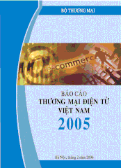 Vietnam E-commerce Report 2005