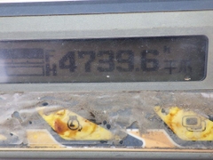 RX-505-70940