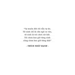 Không Diệt Không Sinh Đừng Sợ Hãi - Bìa Cứng - Phiên Bản Đặc Biệt - Sài Gòn Books - 290k