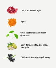 ANTIOXIDANT POLYPHENOLS BROAD SPECTRUM/ VIÊN UỐNG CHỐNG NẮNG