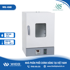 Tủ Sấy 300 Độ C Xingchen Trung Quốc WGL- AB Series | 20 - 210 Lít