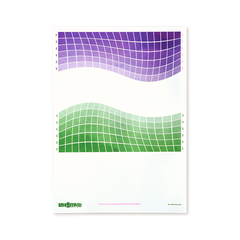 Genderqueer Flag A3 Riso Print