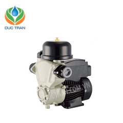 Bơm Rheken đầu gang tự động JLM60-300A