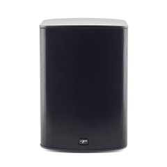 PARADIGM PREMINUM WIRELESS PW 300 - BLACK
