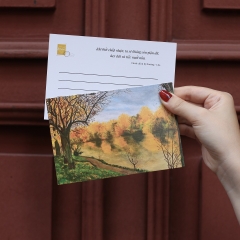 Sách - Cánh Chim Bị Thương