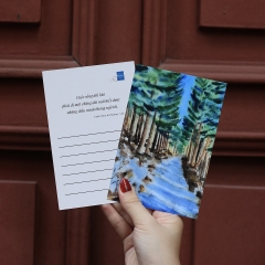 Sách - Cánh Chim Bị Thương