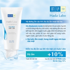 Sữa Rửa Mặt Sạch Sâu Dưỡng Ẩm Hada Labo Advanced Nourish Cleanser 80g