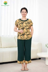 Bộ W QDACT RP cổ phối màu