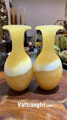 Cặp lục bình thu hút tài lộc ngọc hoàng long 19cm