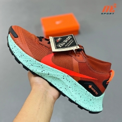 Nike Pegasus Trail 3 GORE-TEX 