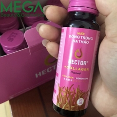 Nước đông trùng hạ thảo Hector Collagen hộp 10 chai