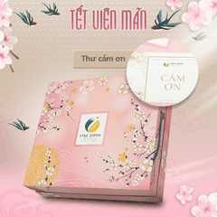 [Hộp quà Tết 2023] SAKURA TẾT VIÊN MÃN Fine Japan quà cho cả gia đình (Bột rau xanh, Vitamin CD, bổ não, canxi cá tuyết)