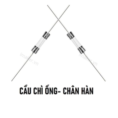 Cầu chì ống 15A 5x20mm có chân hàn