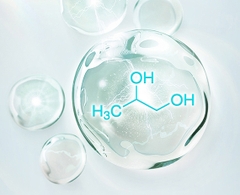 Propylene Glycol Propylene Glycol