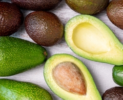 Chiết xuất từ Trái Bơ Chiết xuất từ Trái Bơ