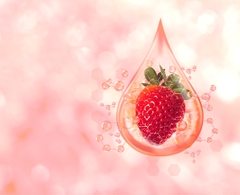 Chiết xuất từ Dâu Tây Chiết xuất từ Dâu Tây