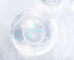 Niacinamide Niacinamide