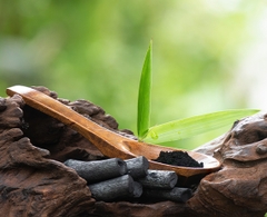 Than hoạt tính Than hoạt tính